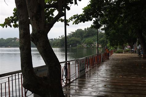 philippines laguna city